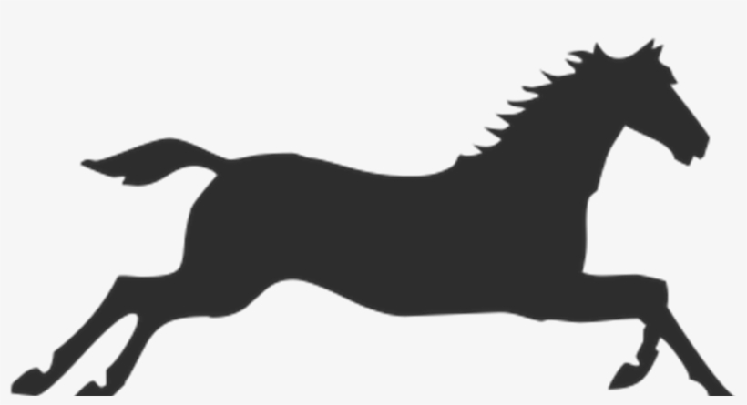 Images Used